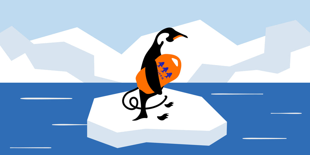 Penguin with a SKIFFAbuoy